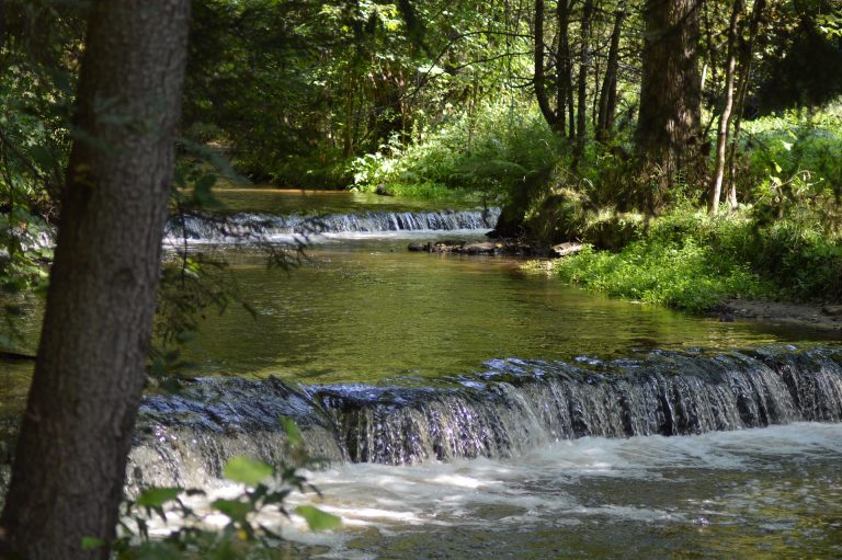 November 2025 BGH Portfolio Update: Focus Amid the Noise